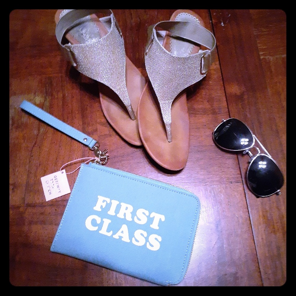 NEW Travl Clutch, light blue, zip around, passport